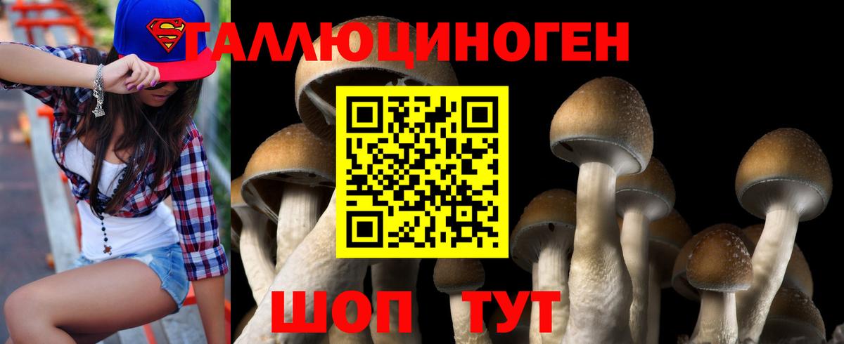 Галлюциногенные грибы мухоморы Мценск